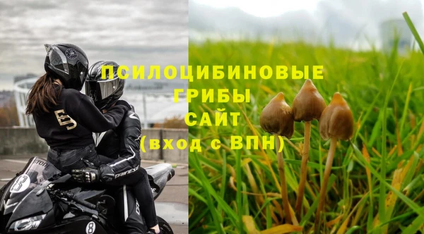 mdpv Бородино