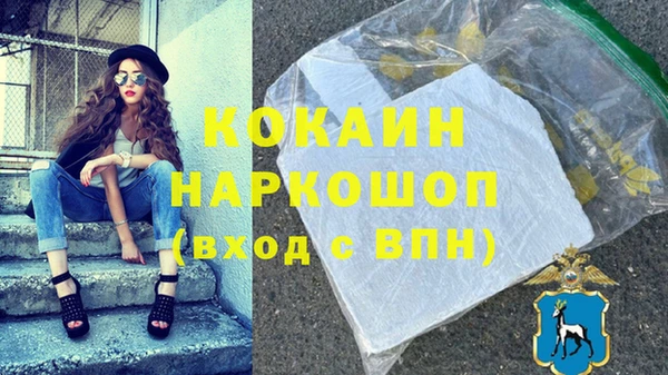 mdpv Бородино