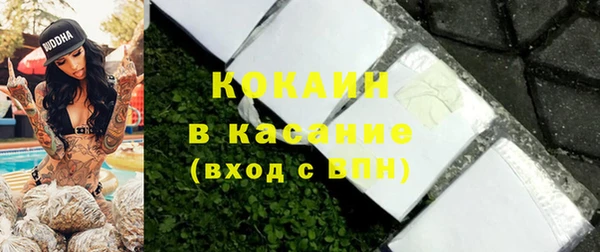 mdpv Бородино
