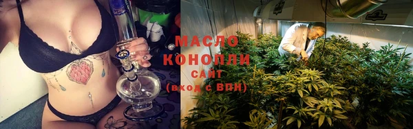 mdpv Бородино