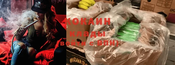 mdpv Бородино