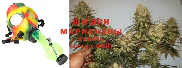 mdpv Бородино